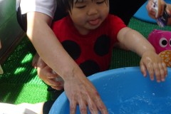 DSC03177