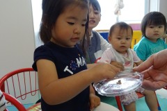 DSC02316