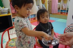 DSC02319